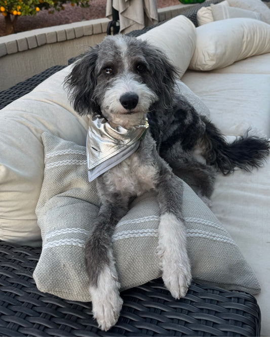 Metallic Lambskin Kerchief