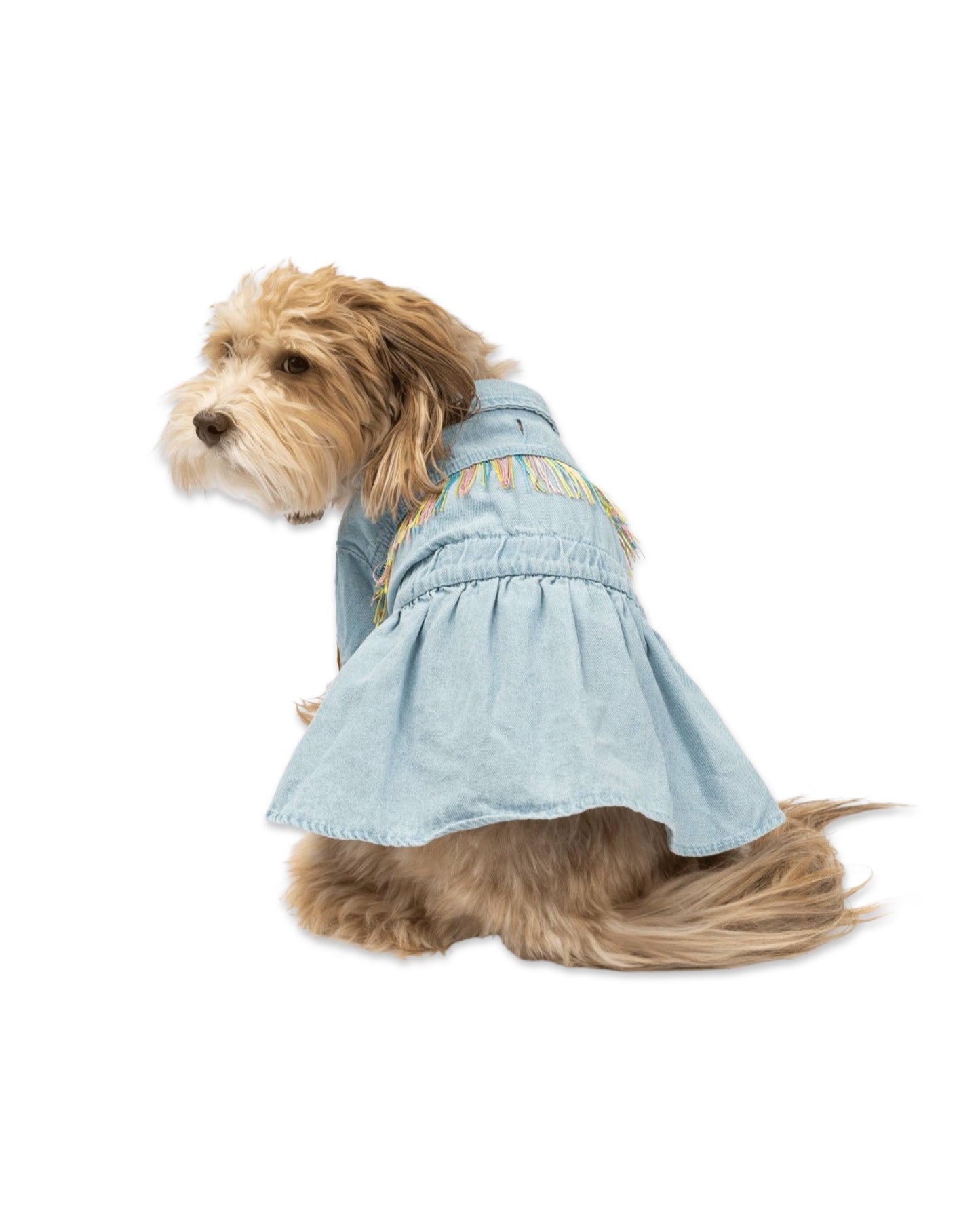 Ocean Denim Dog Dress