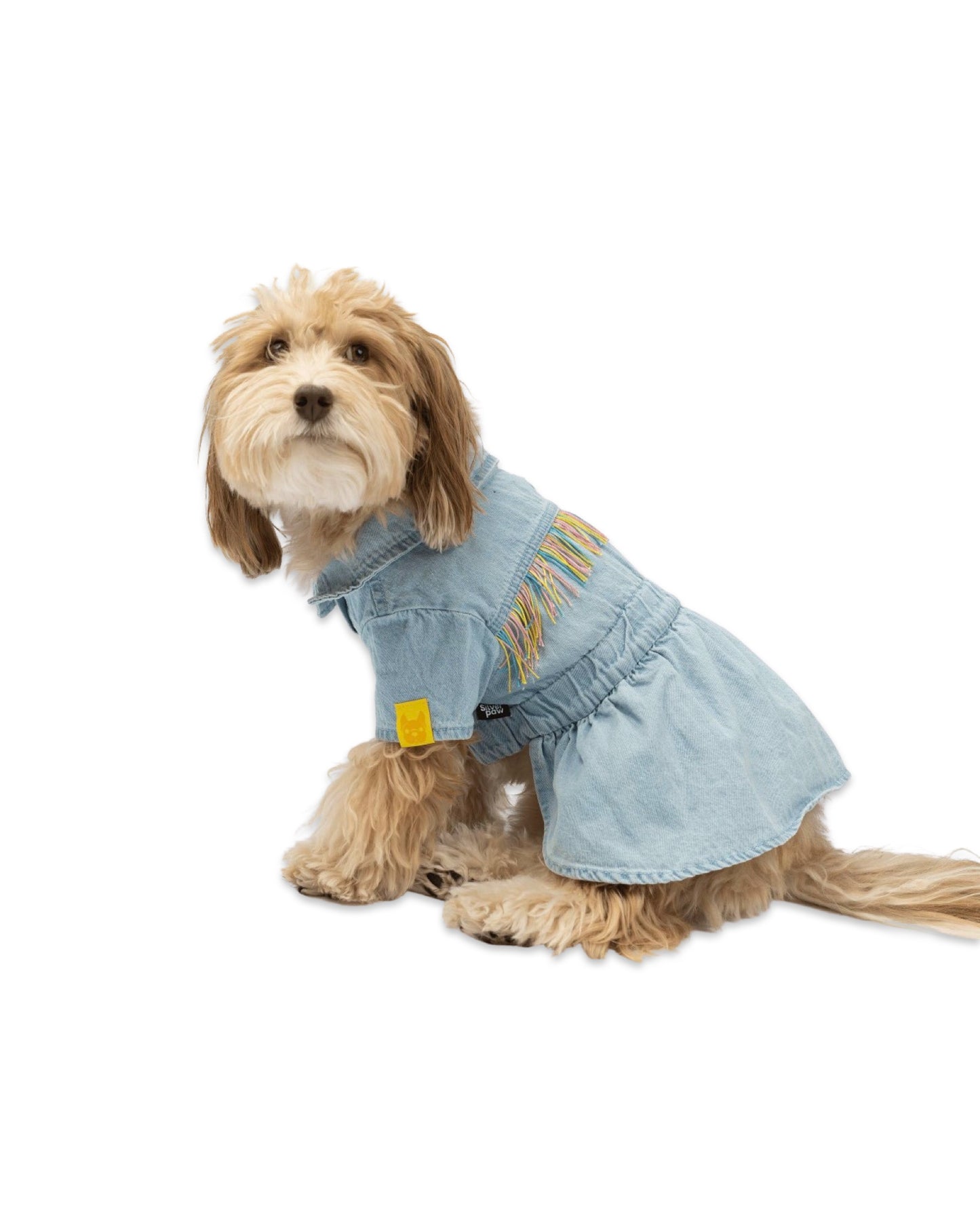 Ocean Denim Dog Dress