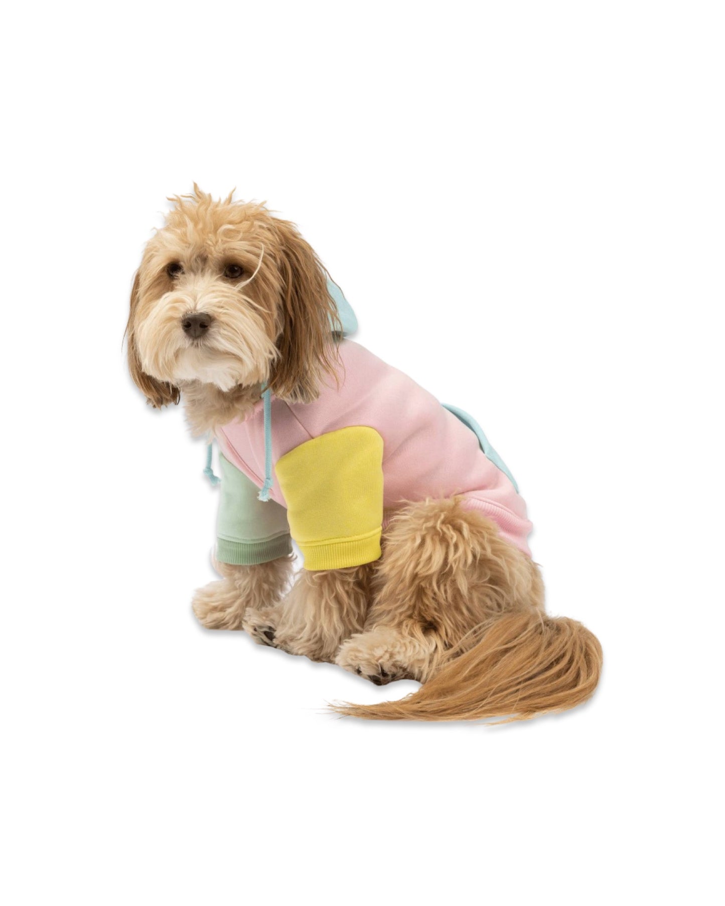 Venice Dog Hoodie - Pink