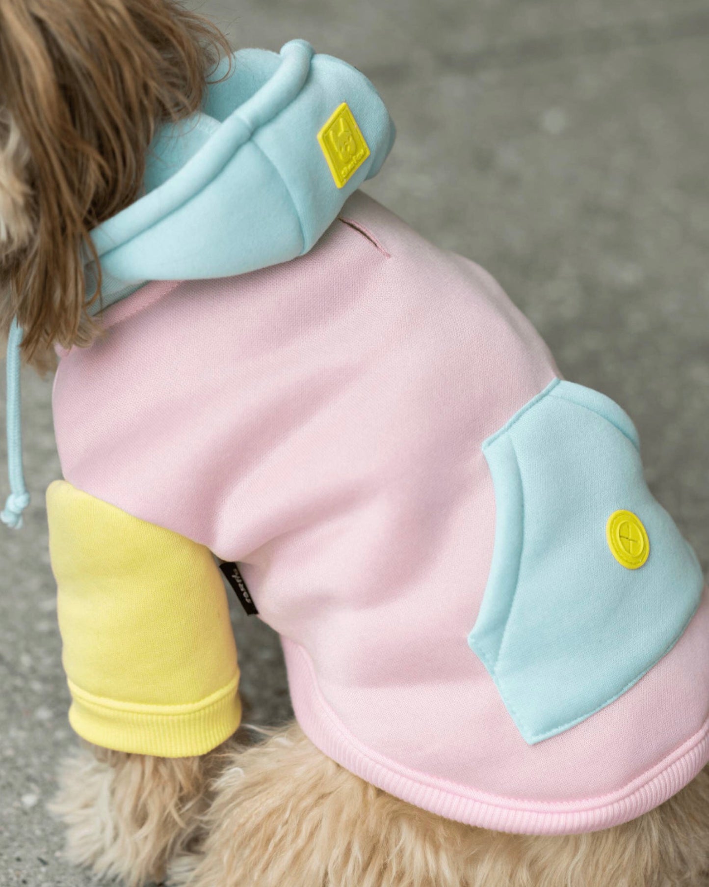 Venice Dog Hoodie - Pink