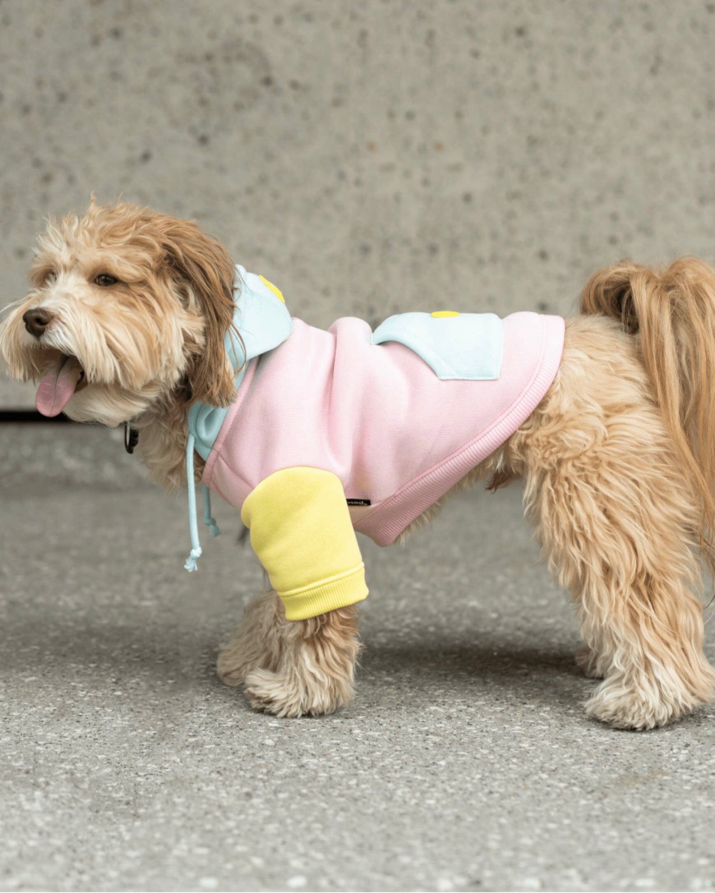 Venice Dog Hoodie - Pink