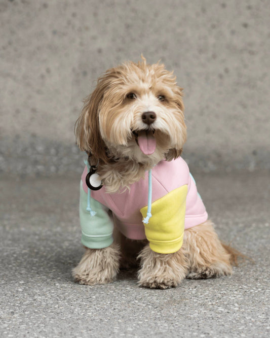 Venice Dog Hoodie - Pink