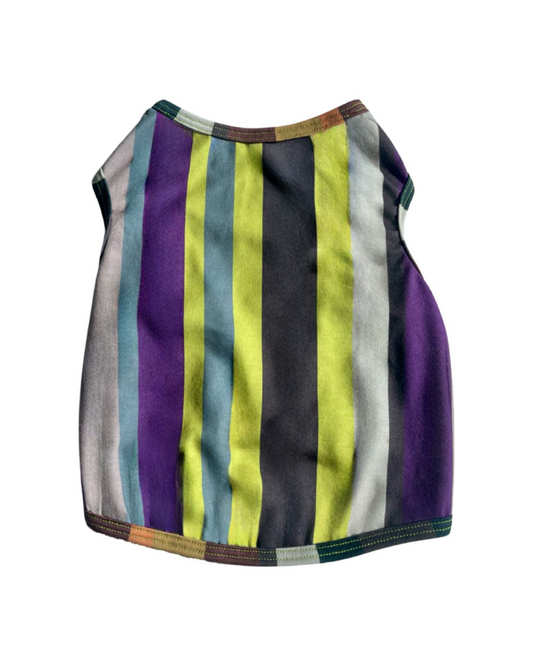 PHLEMUNS Tank - Multi Stripes