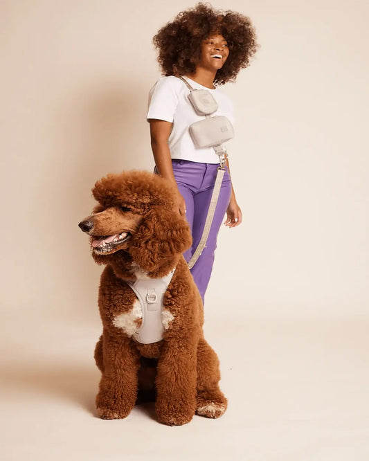 Go With Ease! Hands Free Leash - Light Grey