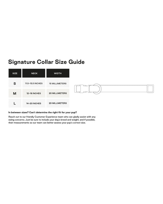 Signature Collar - Light Grey