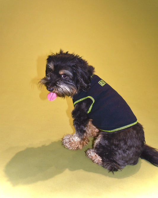 PHLEMUNS Tank - Black/Lime