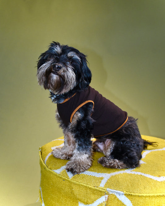 PHLEMUNS Tank - Brown/Orange