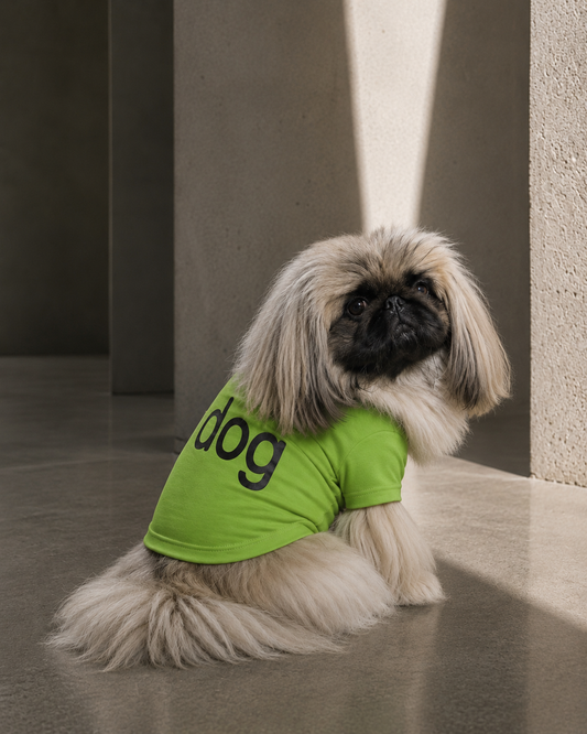 dog tee