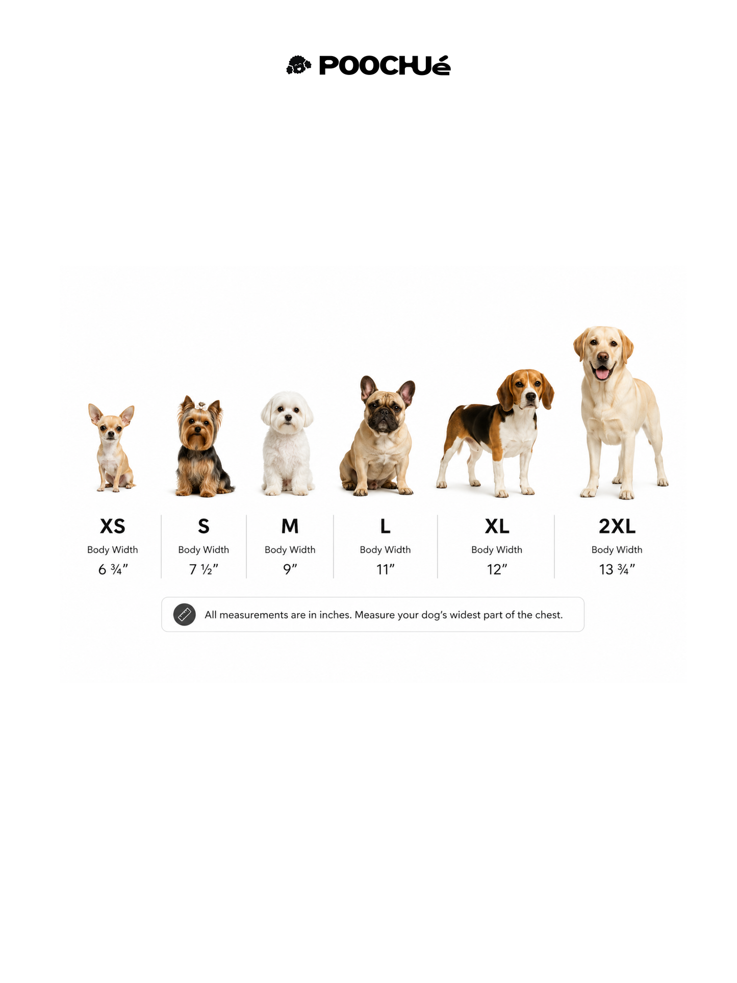 MUSIC, FASHION, FILM DOG TEE