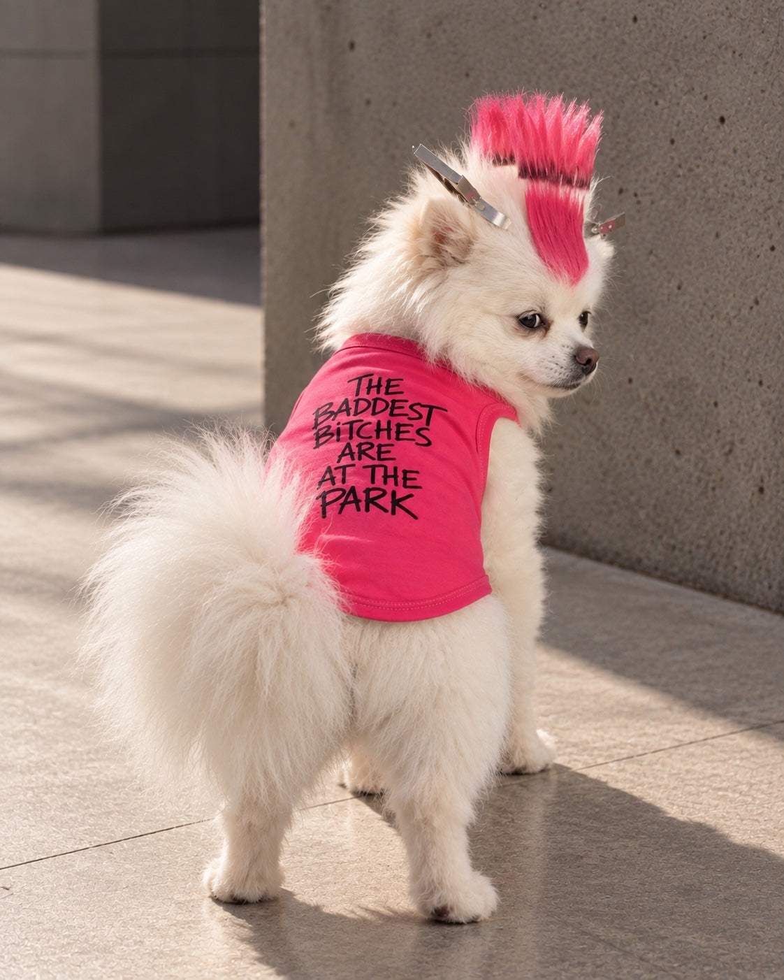 White dog wearing POOCHUé The Baddest Bitches Are At The Park pink dog tee